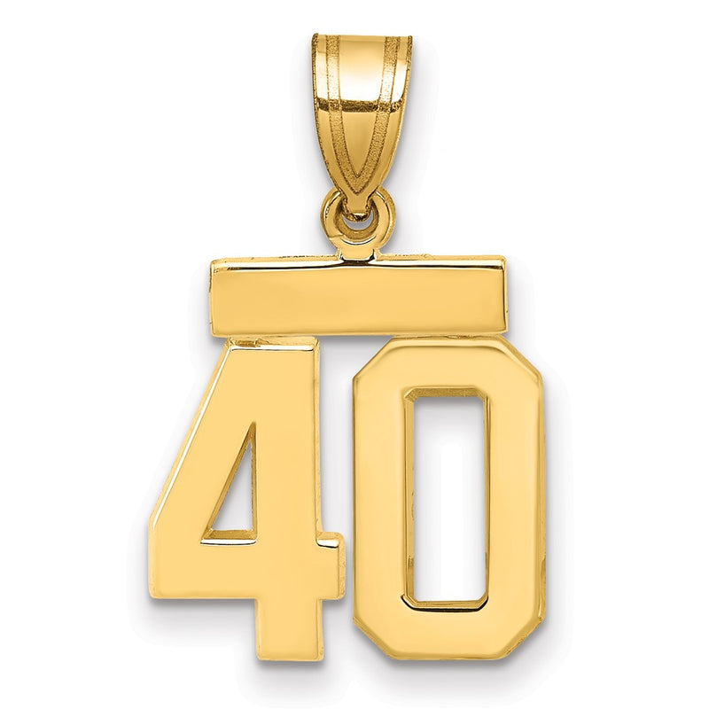 14k Yellow Gold Small Polished Number 40 Charm