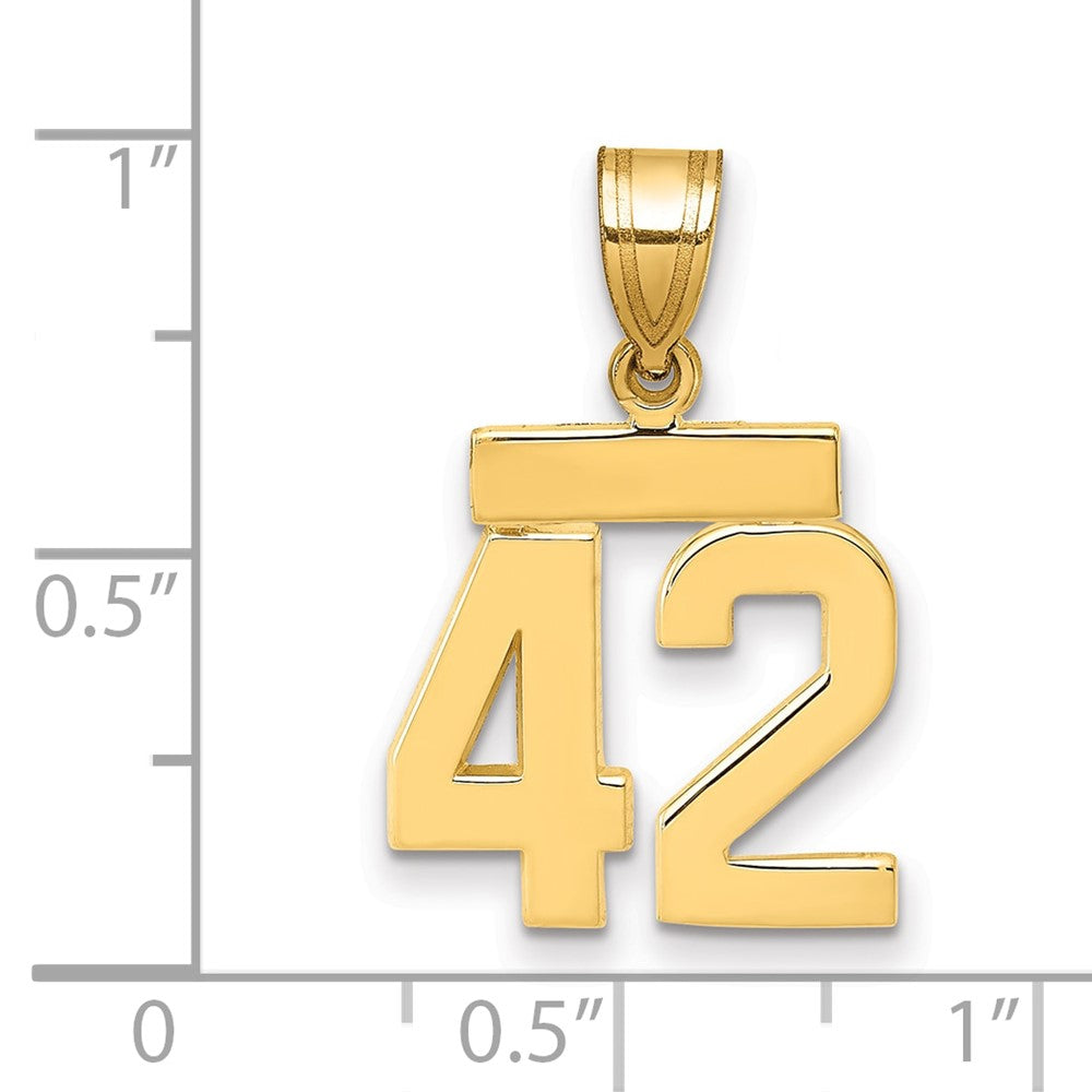 14k Yellow Gold Small Polished Number 42 Charm