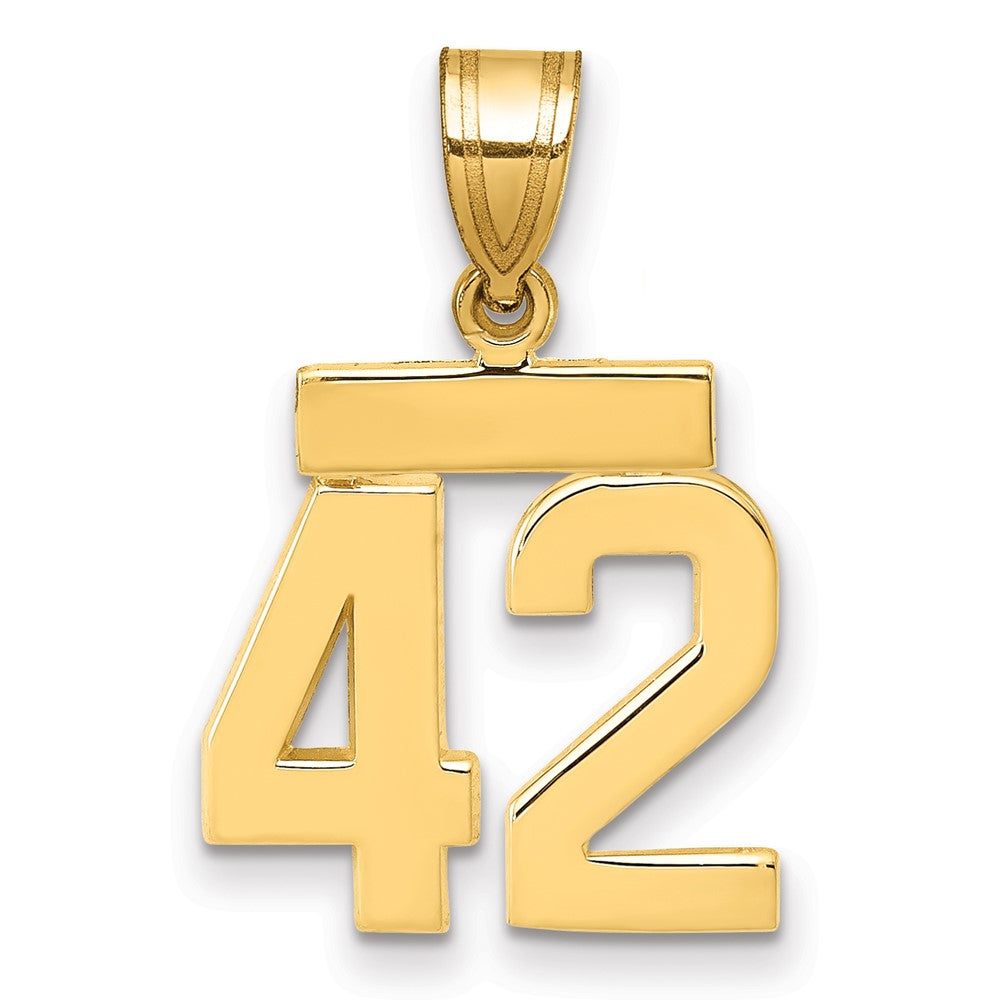 14k Yellow Gold Small Polished Number 42 Charm