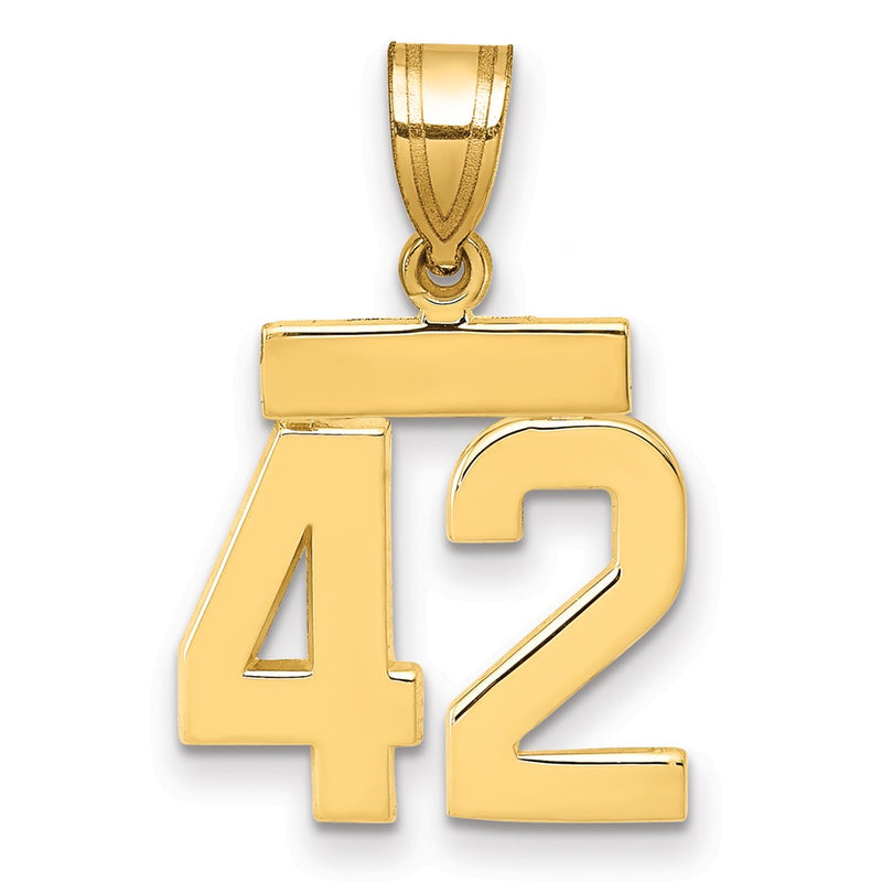 14k Yellow Gold Small Polished Number 42 Charm