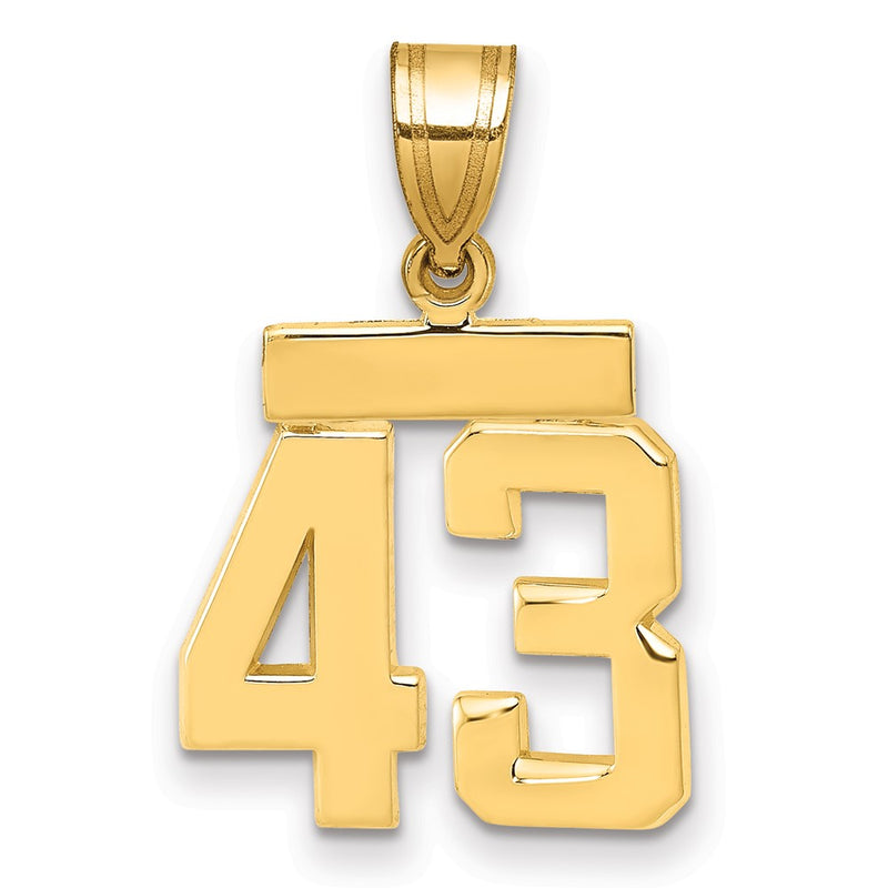 14k Yellow Gold Small Polished Number 43 Charm