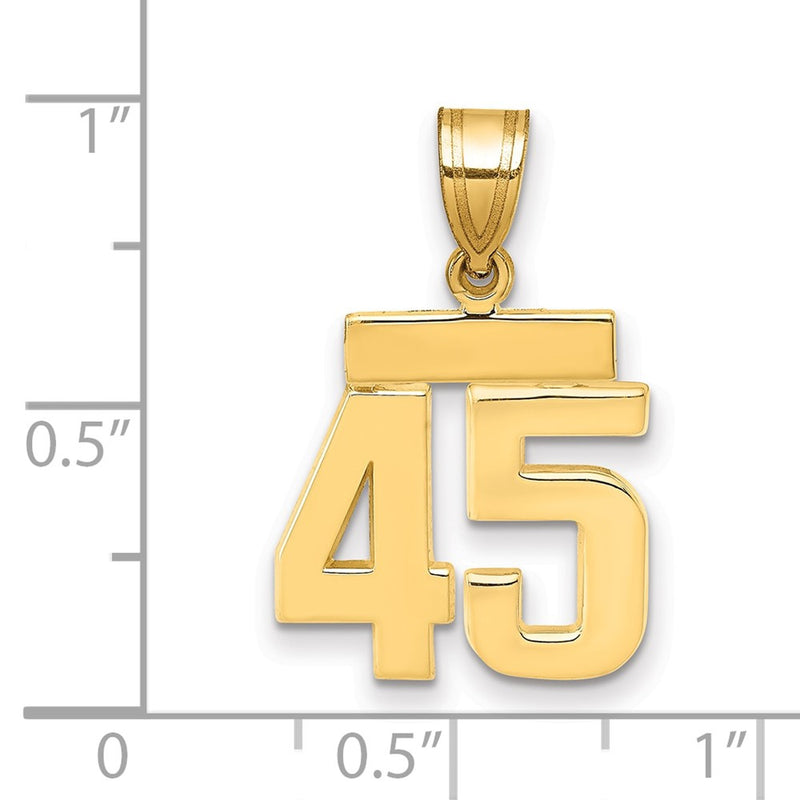 14k Yellow Gold Small Polished Number 45 Charm