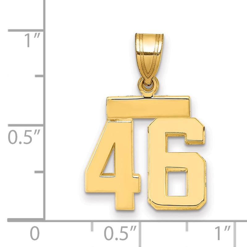 14k Yellow Gold Small Polished Number 46 Charm