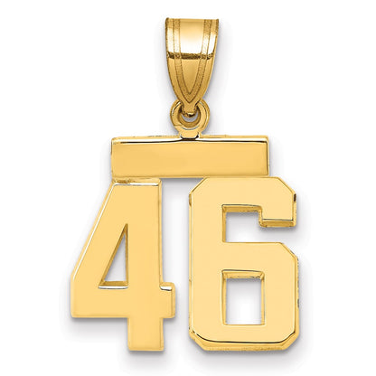 14k Yellow Gold Small Polished Number 46 Charm
