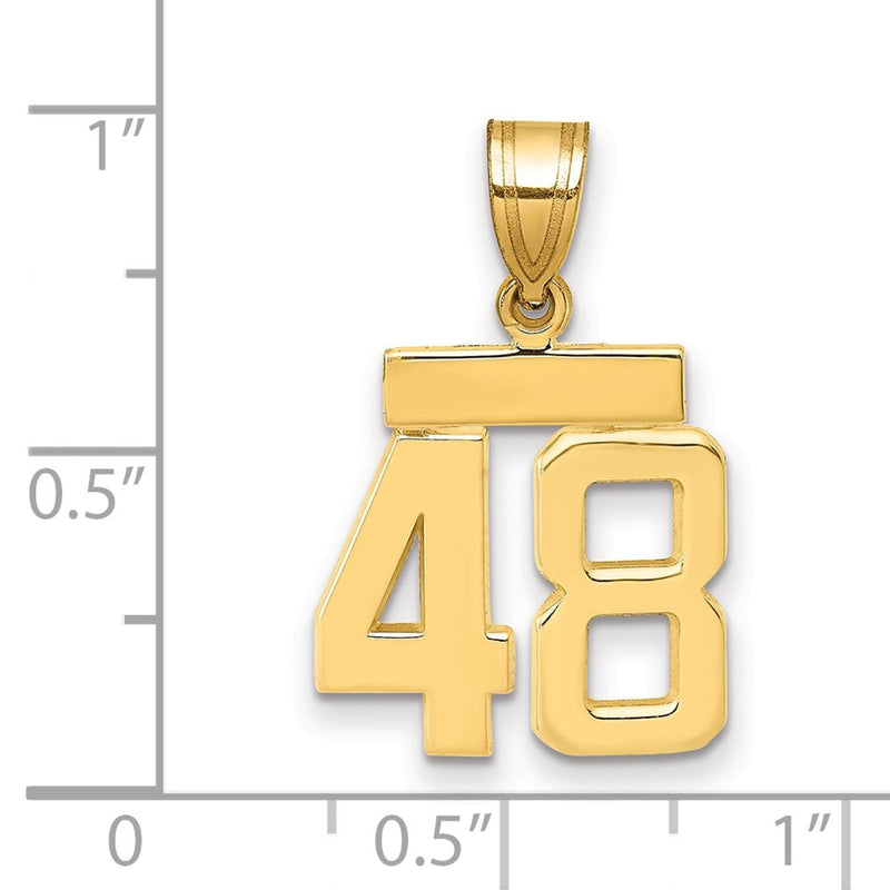 14k Yellow Gold Small Polished Number 48 Charm