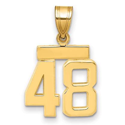 14k Yellow Gold Small Polished Number 48 Charm