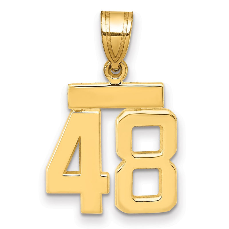14k Yellow Gold Small Polished Number 48 Charm