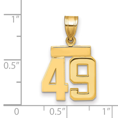 SP49 [QG:SP49:2]