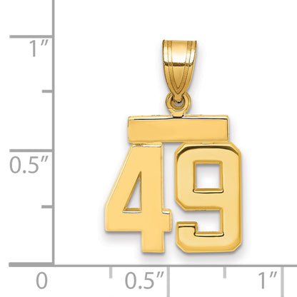 14k Yellow Gold Small Polished Number 49 Charm