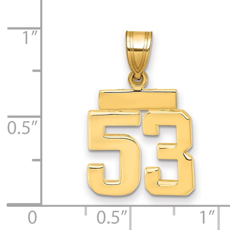 14k Yellow Gold Small Polished Number 53 Charm