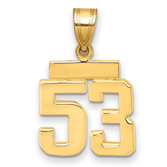 10K Yellow Gold Small Polished Number 53 Charm