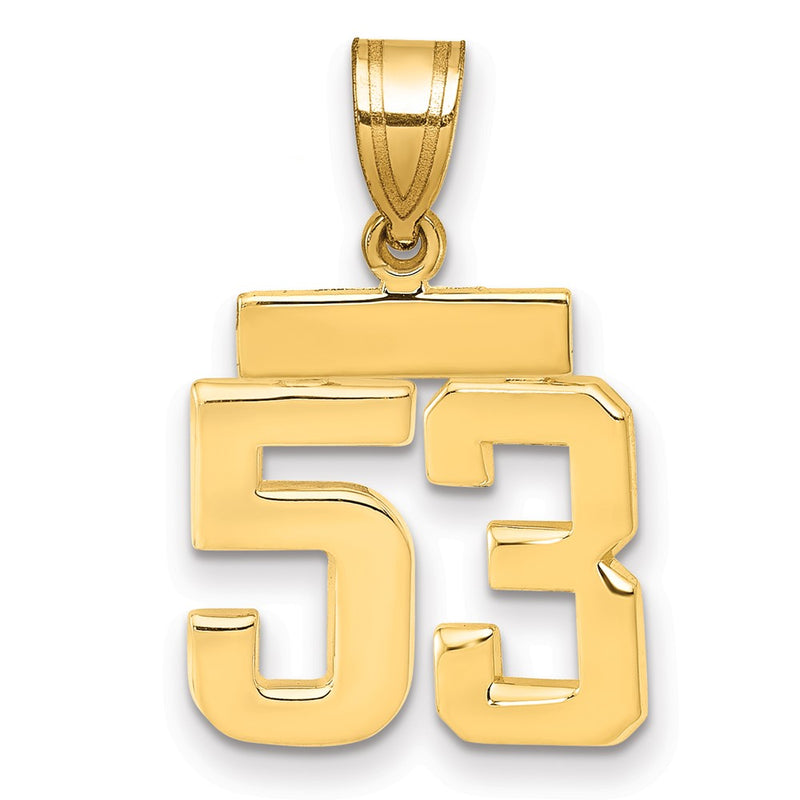 14k Yellow Gold Small Polished Number 53 Charm