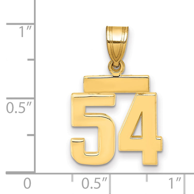 14k Yellow Gold Small Polished Number 54 Charm