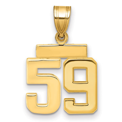 14k Yellow Gold Small Polished Number 59 Charm