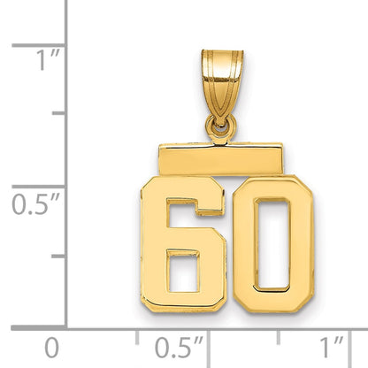 10K Yellow Gold Small Polished Number 60 Charm