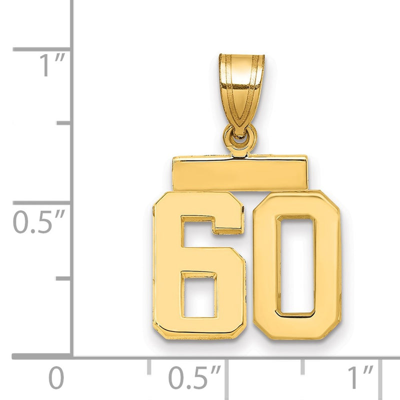 14k Yellow Gold Small Polished Number 60 Charm