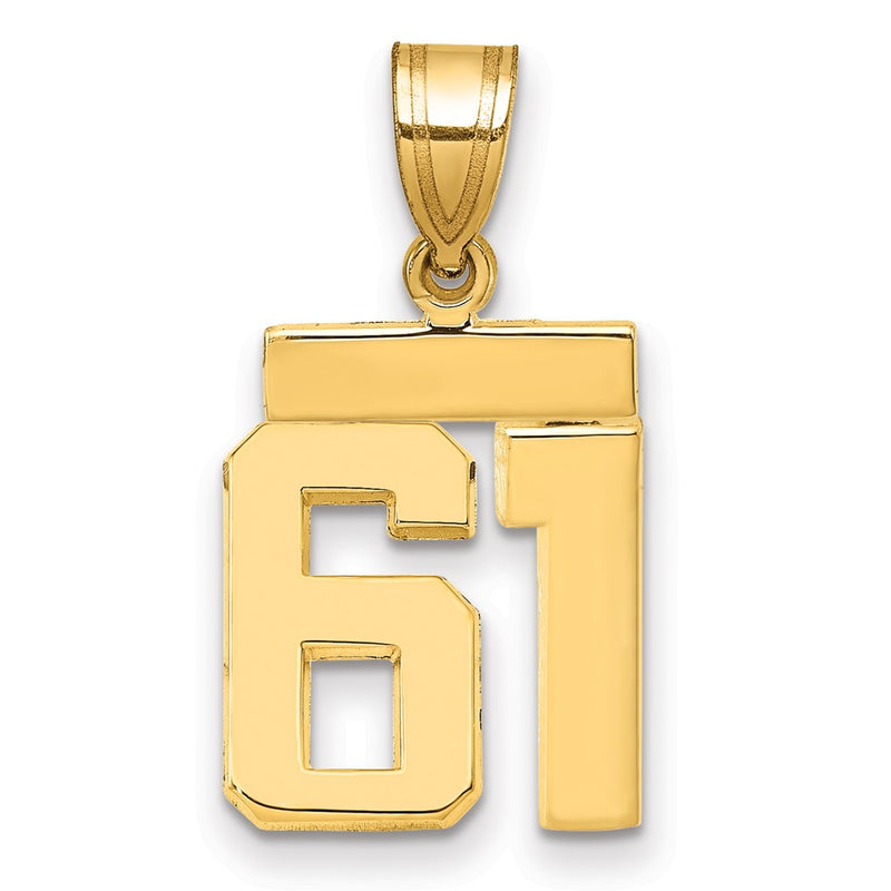 14k Yellow Gold Small Polished Number 61 Charm