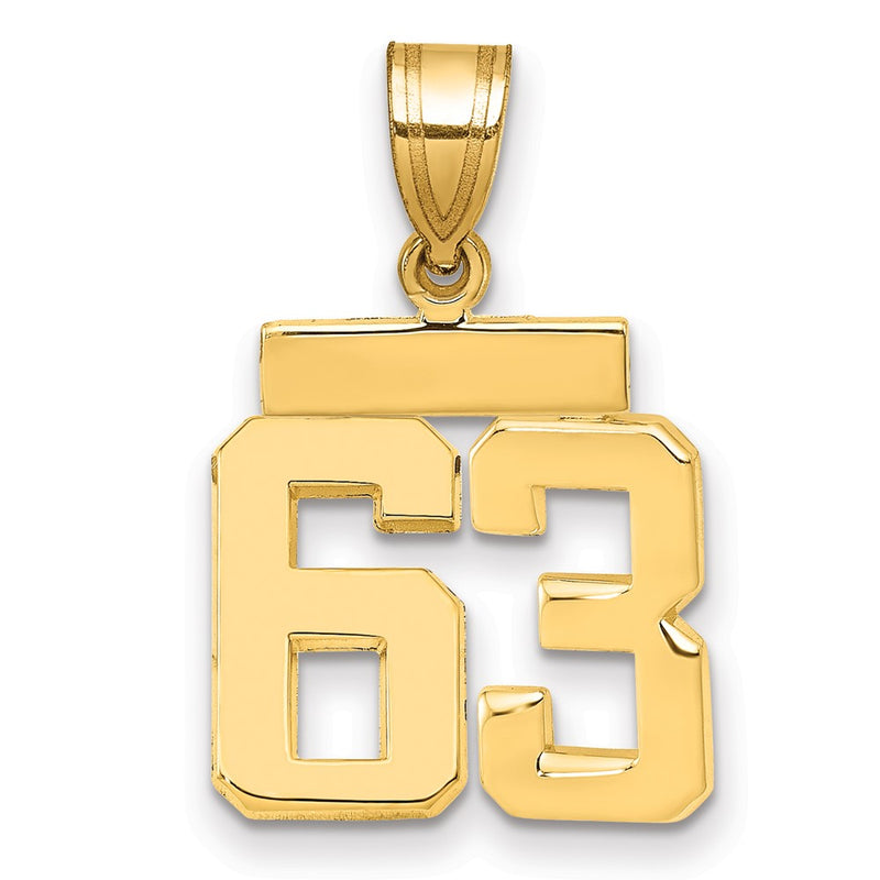 14k Yellow Gold Small Polished Number 63 Charm