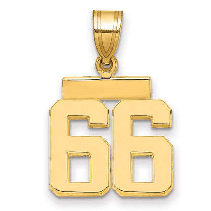 14k Yellow Gold Small Polished Number 66 Charm