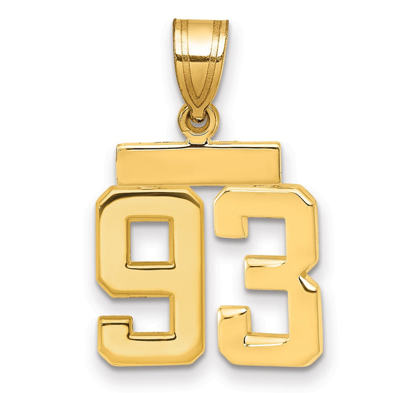 14k Yellow Gold Small Polished Number 93 Charm