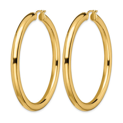 Stainless Steel Chisel Polished Yellow Ip-Plated Hoop Earrings