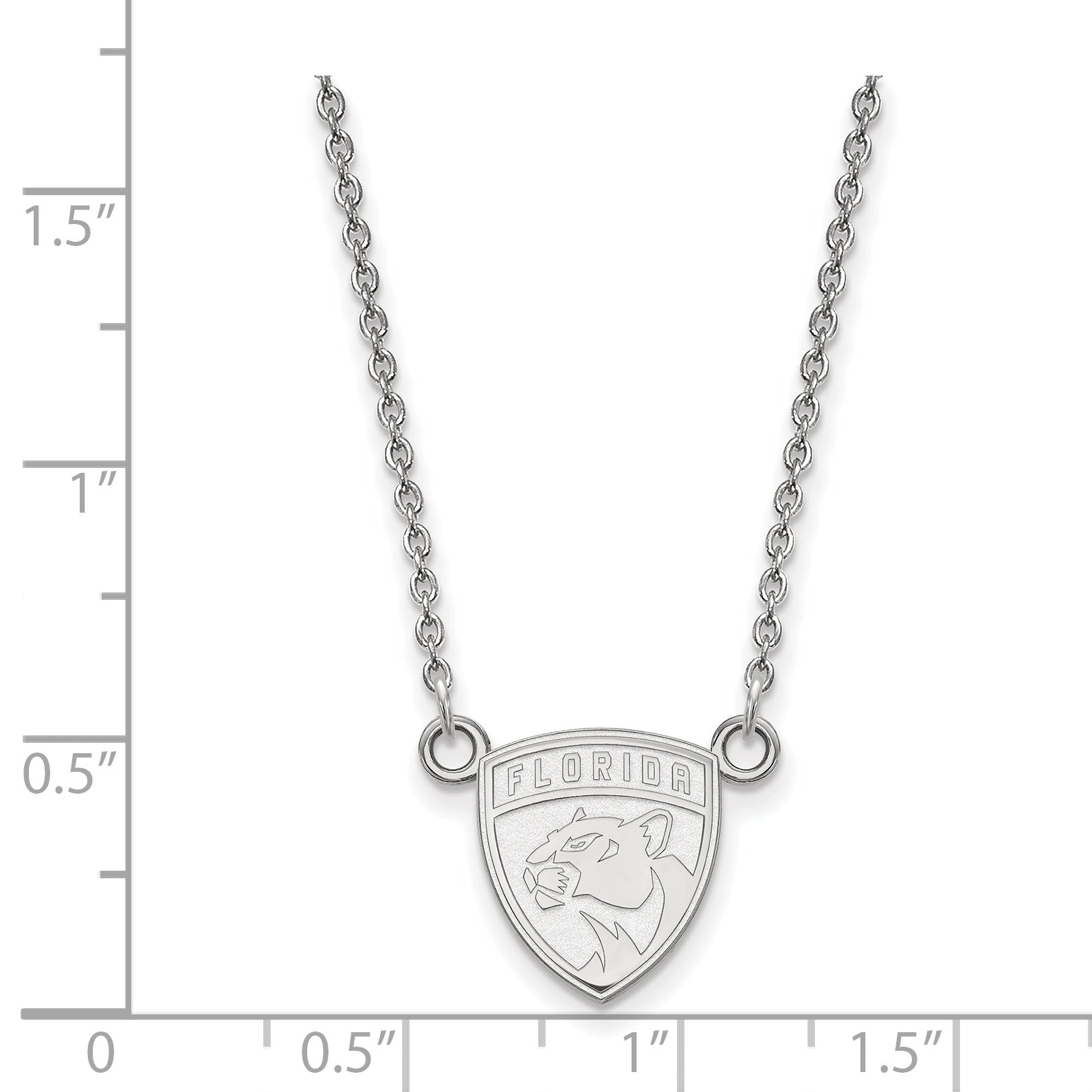 10K White Gold Nhl Logoart Florida Panthers Small Pendant 18 Inch Necklace