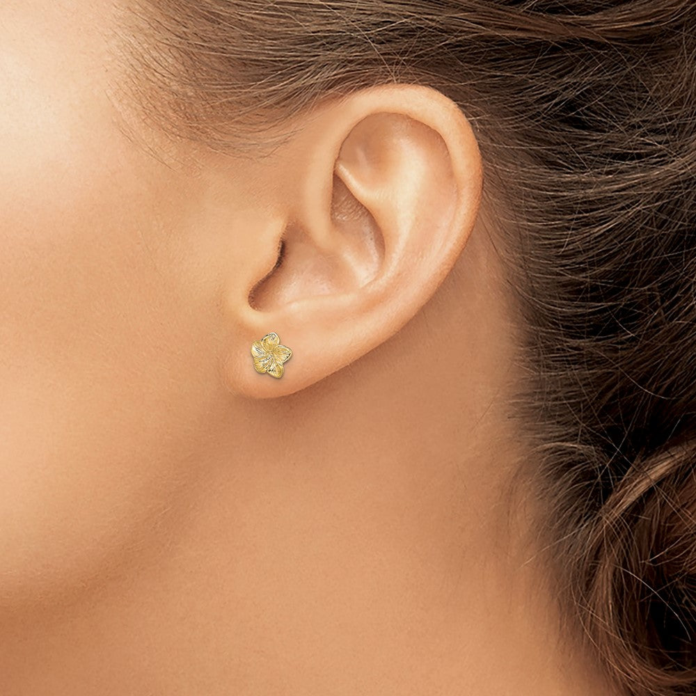 14K Yellow Gold Plumeria Flower Post Earrings
