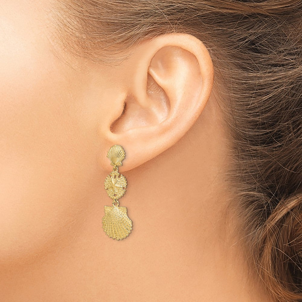 14K Yellow Gold Scallop, Sand Dollar,,Scallop Dangle Earrings