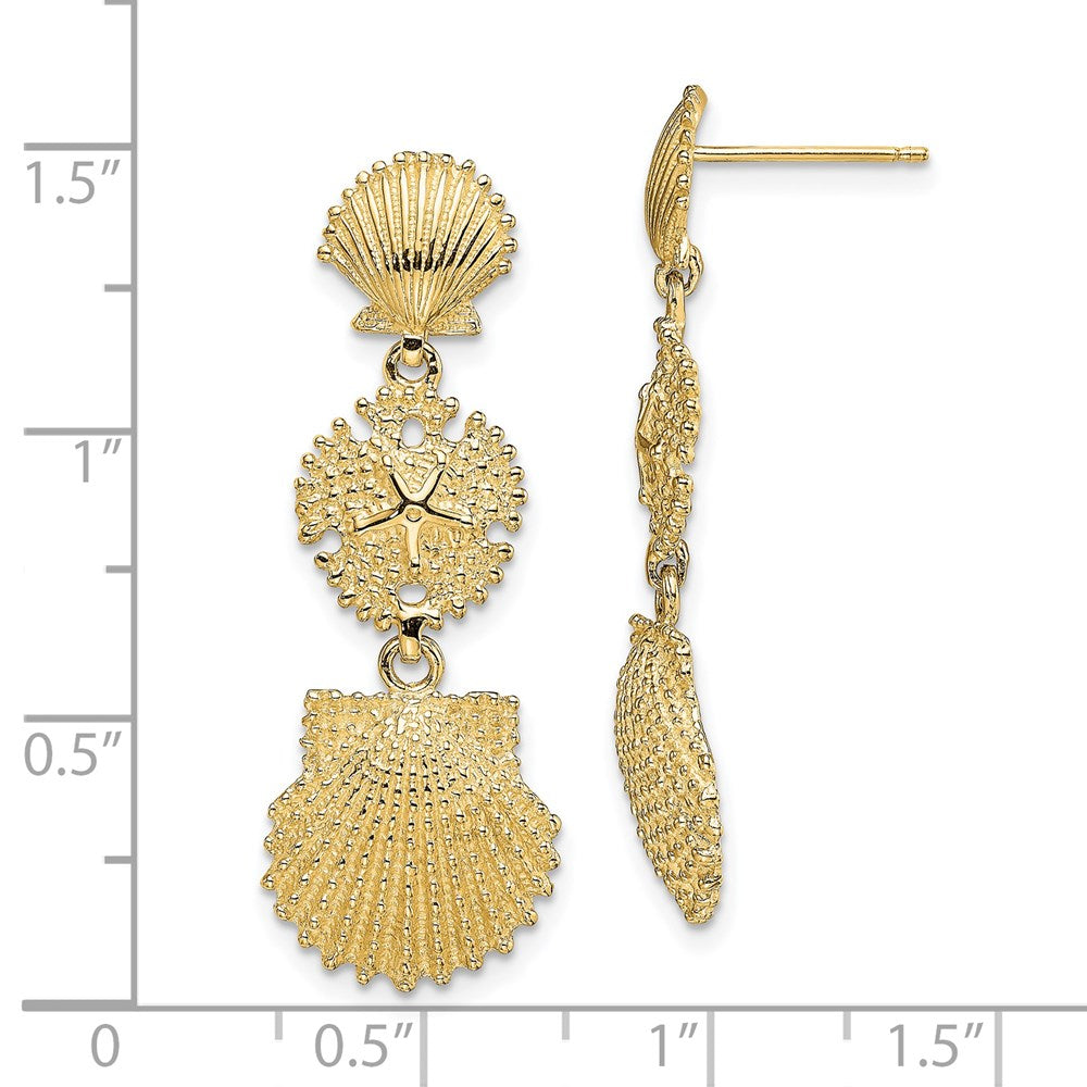 14K Yellow Gold Scallop, Sand Dollar,,Scallop Dangle Earrings