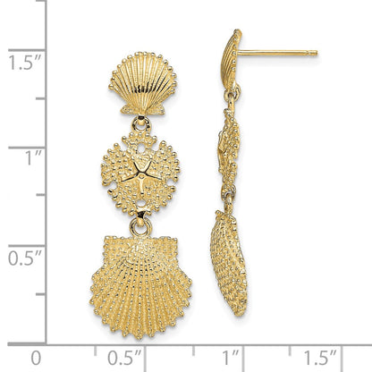 14K Yellow Gold Scallop, Sand Dollar,,Scallop Dangle Earrings
