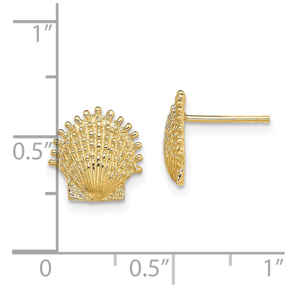 14K Yellow Gold Beaded Scallop Shell Post Earrings
