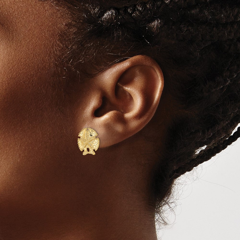 14K Yellow Gold Textured Sand Dollar Earrings