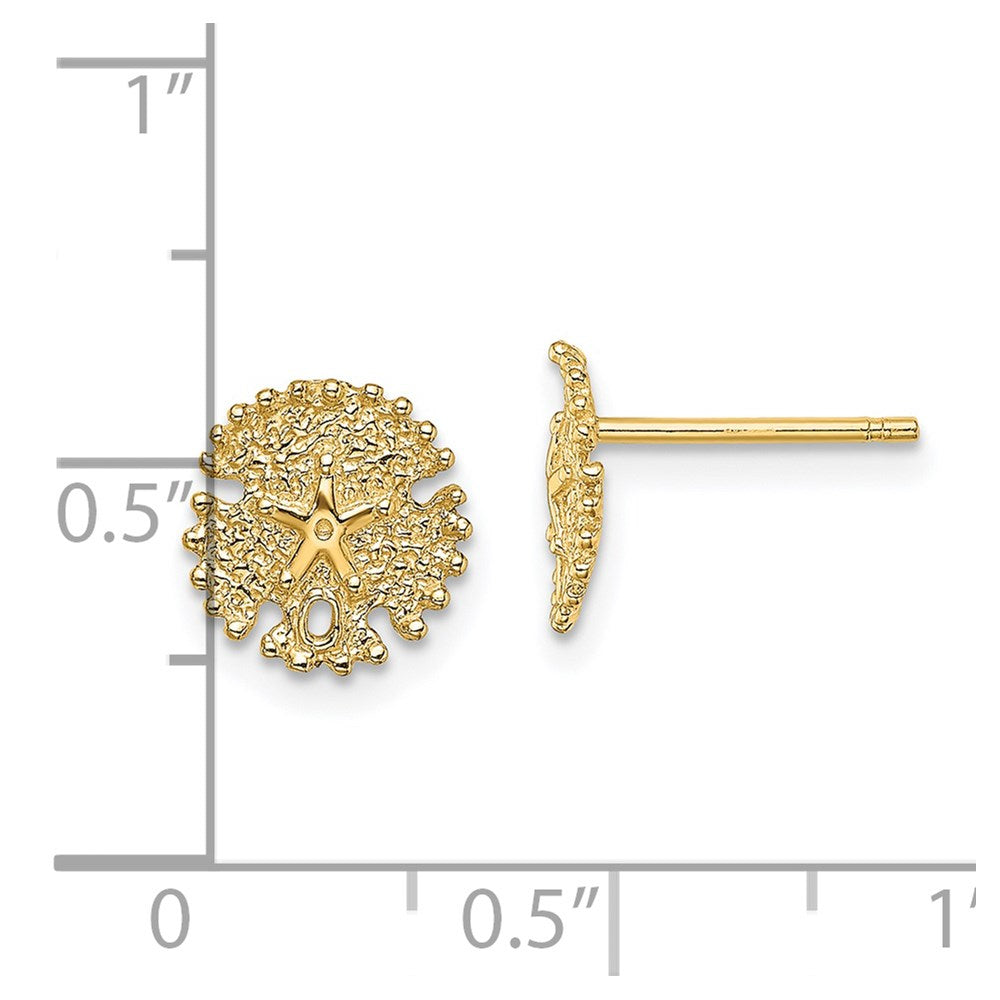 14K Yellow Gold Textured Sand Dollar Post Earrings