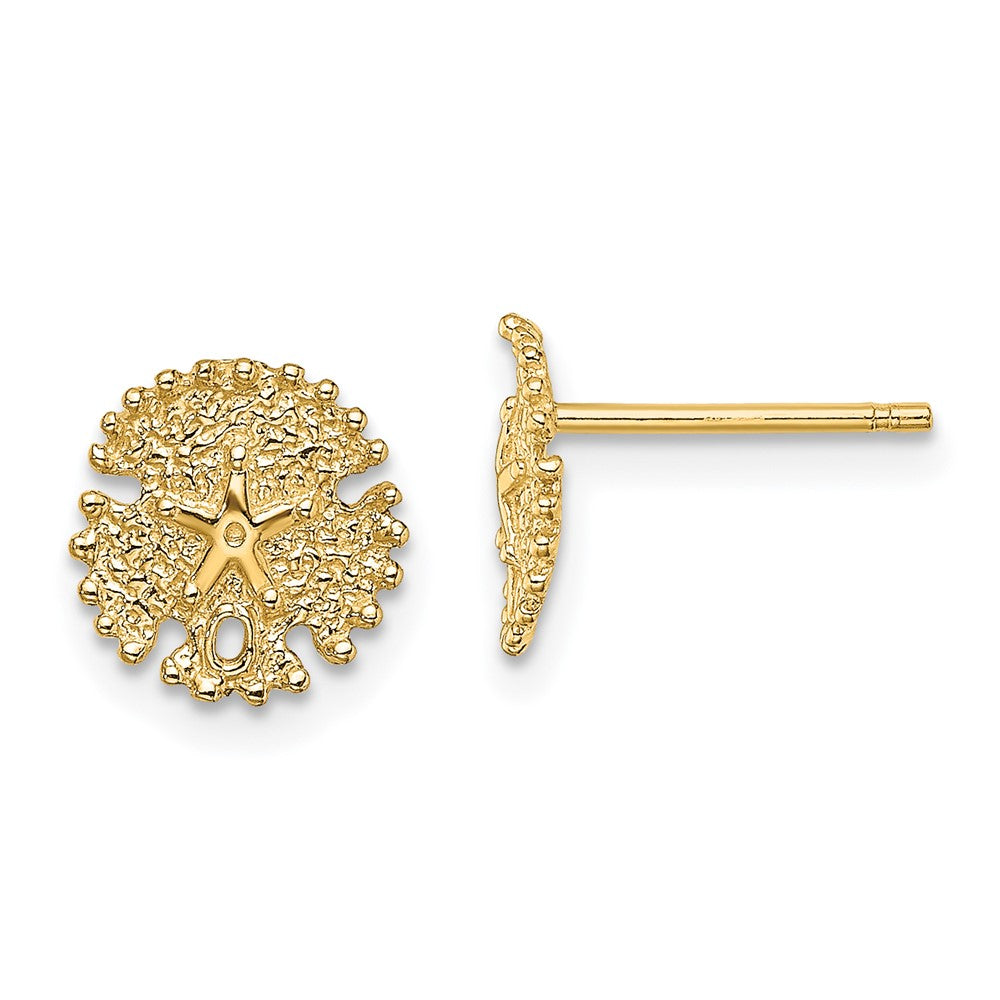14K Yellow Gold Textured Sand Dollar Post Earrings