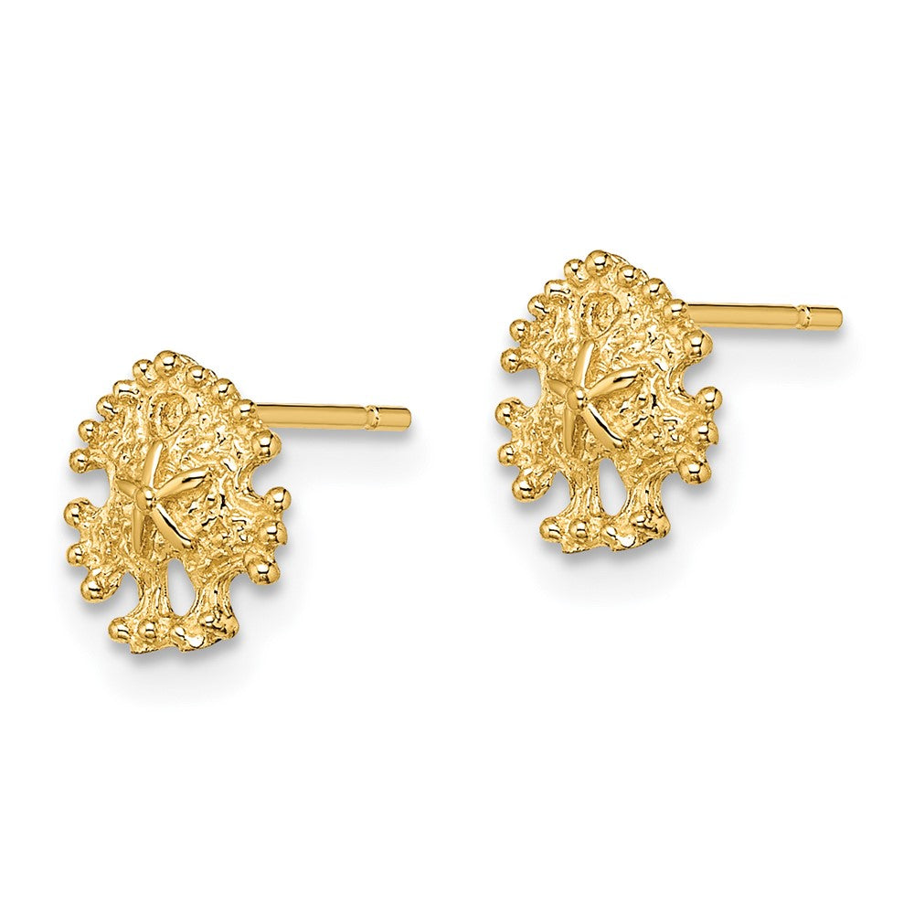 14K Yellow Gold Mini Sand Dollar Post Earrings