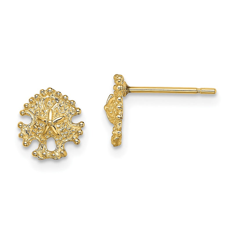 14K Yellow Gold Mini Sand Dollar Post Earrings