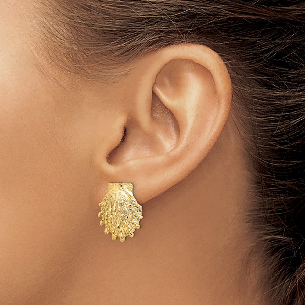 14K Yellow Gold Lion'S Paw Shell Post Earrings