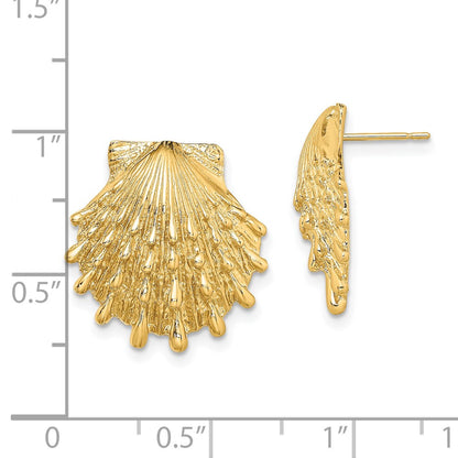 14K Yellow Gold Lion'S Paw Shell Post Earrings