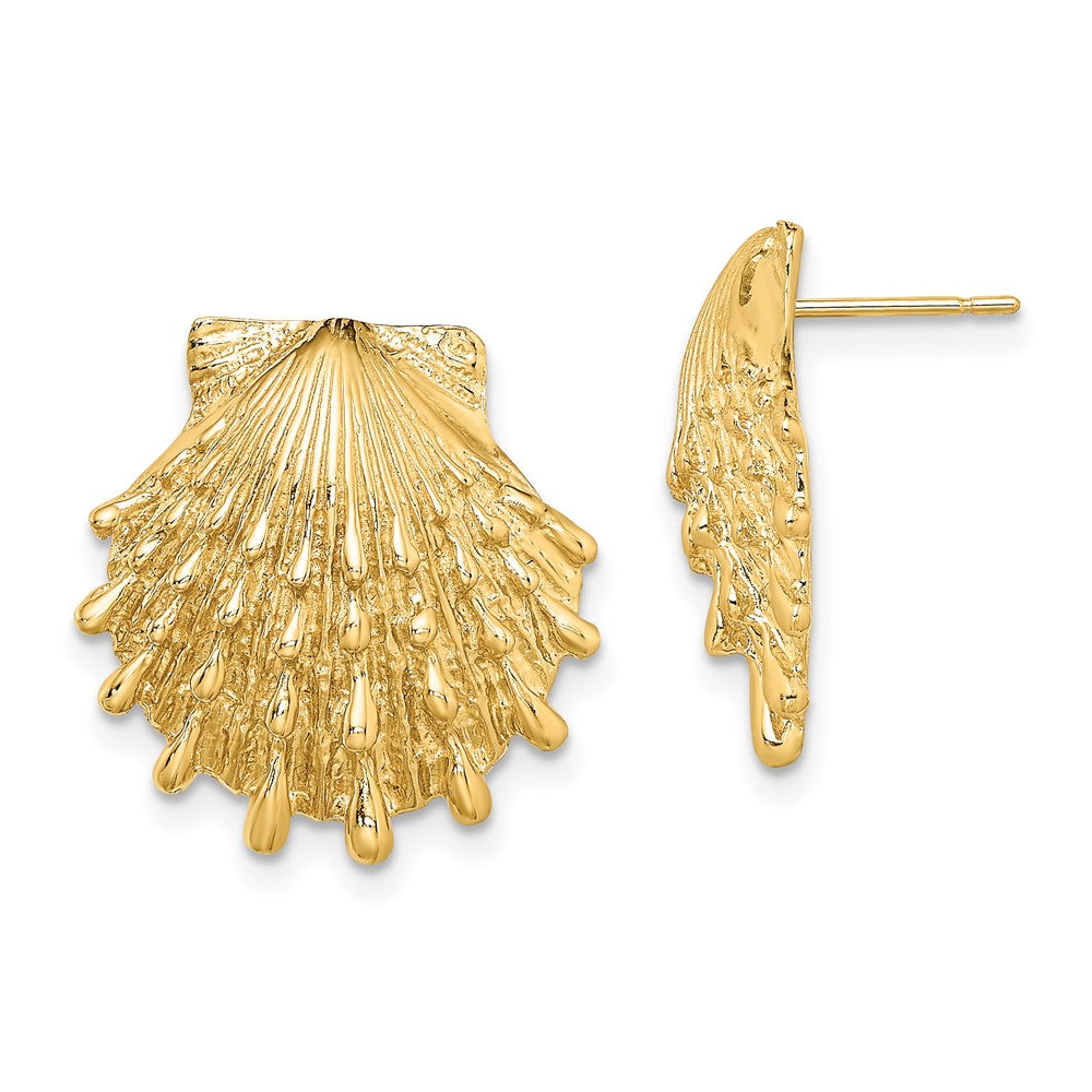 14K Yellow Gold Lion'S Paw Shell Post Earrings
