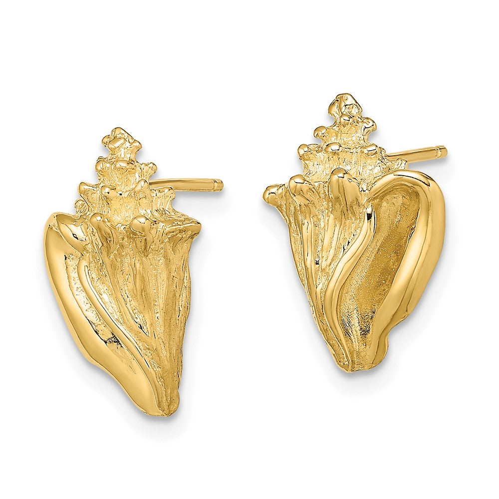14K Yellow Gold 2-D Conch Shell Post Earrings
