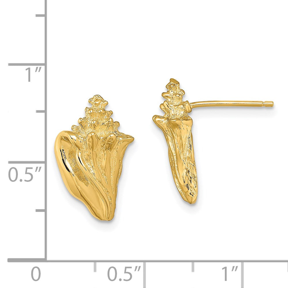 14K Yellow Gold 2-D Conch Shell Post Earrings