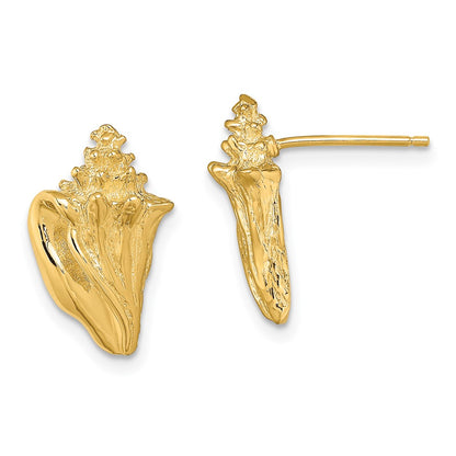 14K Yellow Gold 2-D Conch Shell Post Earrings