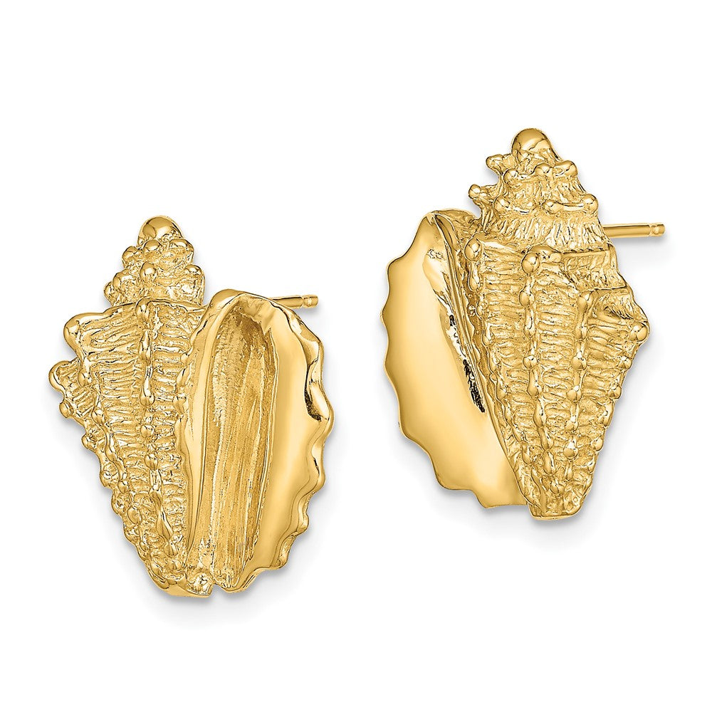 14K Yellow Gold 2-D Conch Shell Post Earrings