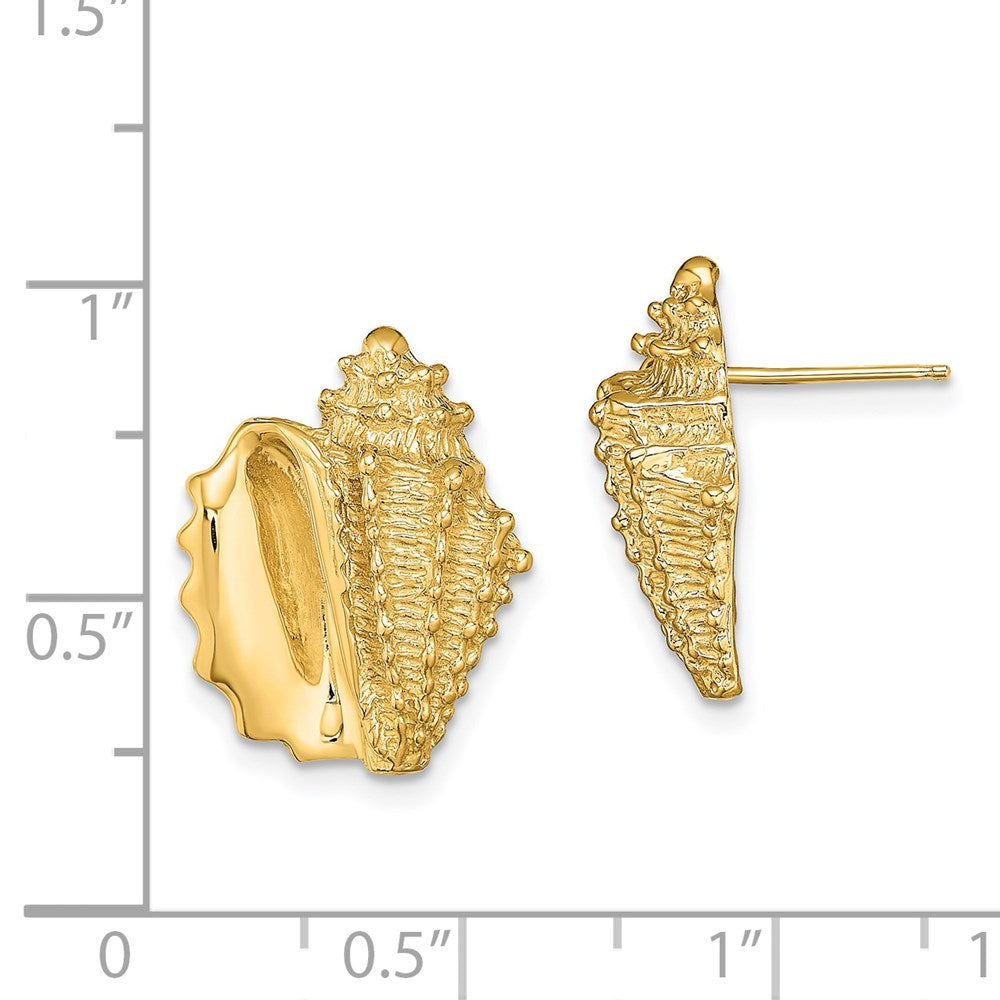 14K Yellow Gold 2-D Conch Shell Post Earrings