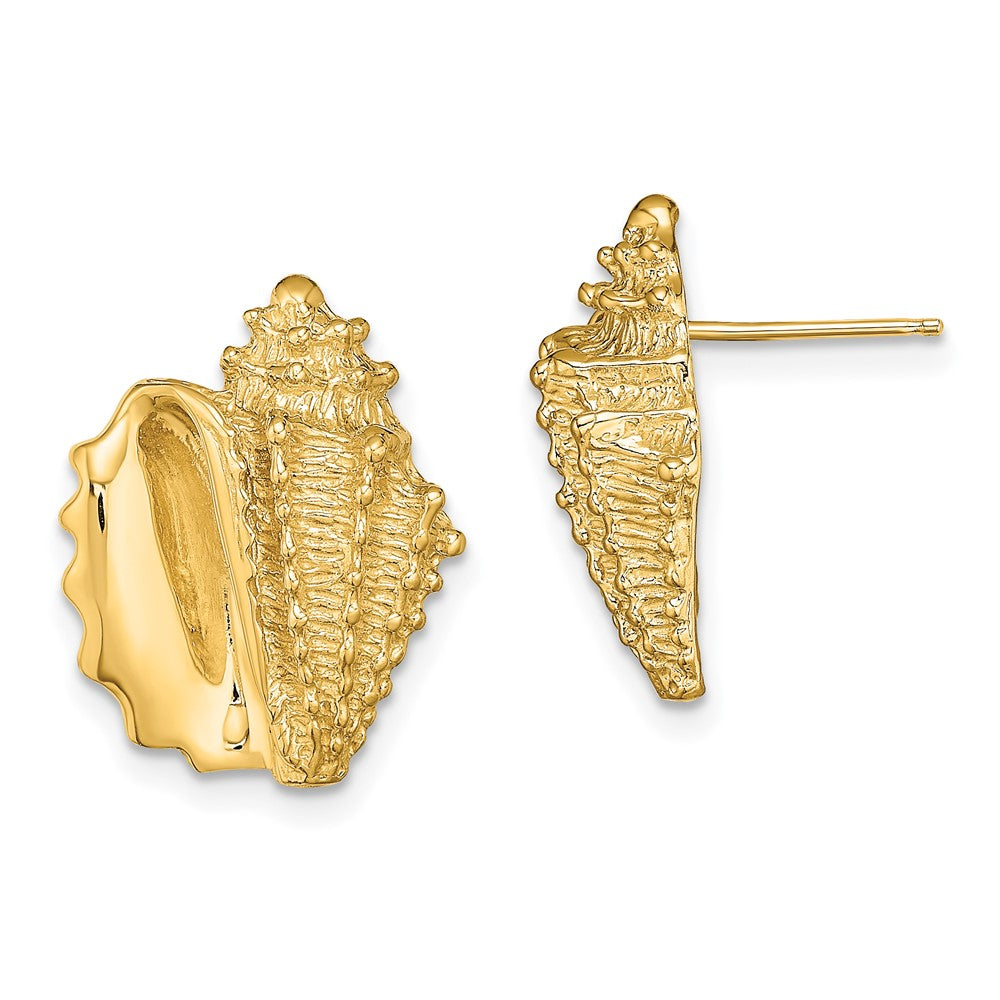 14K Yellow Gold 2-D Conch Shell Post Earrings