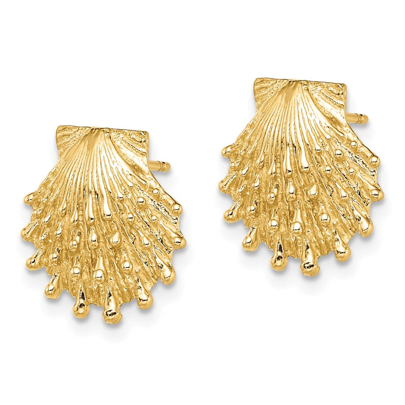 14K Yellow Gold Lion'S Paw Shell Post Earrings