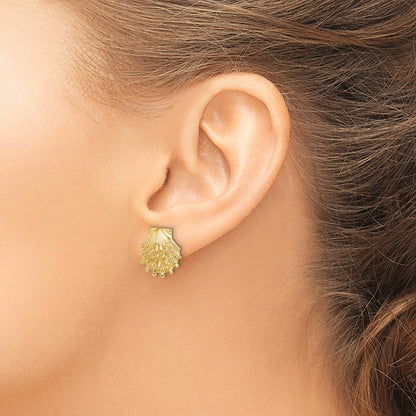 14K Yellow Gold Lion'S Paw Shell Post Earrings