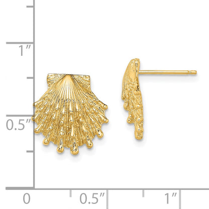 14K Yellow Gold Lion'S Paw Shell Post Earrings