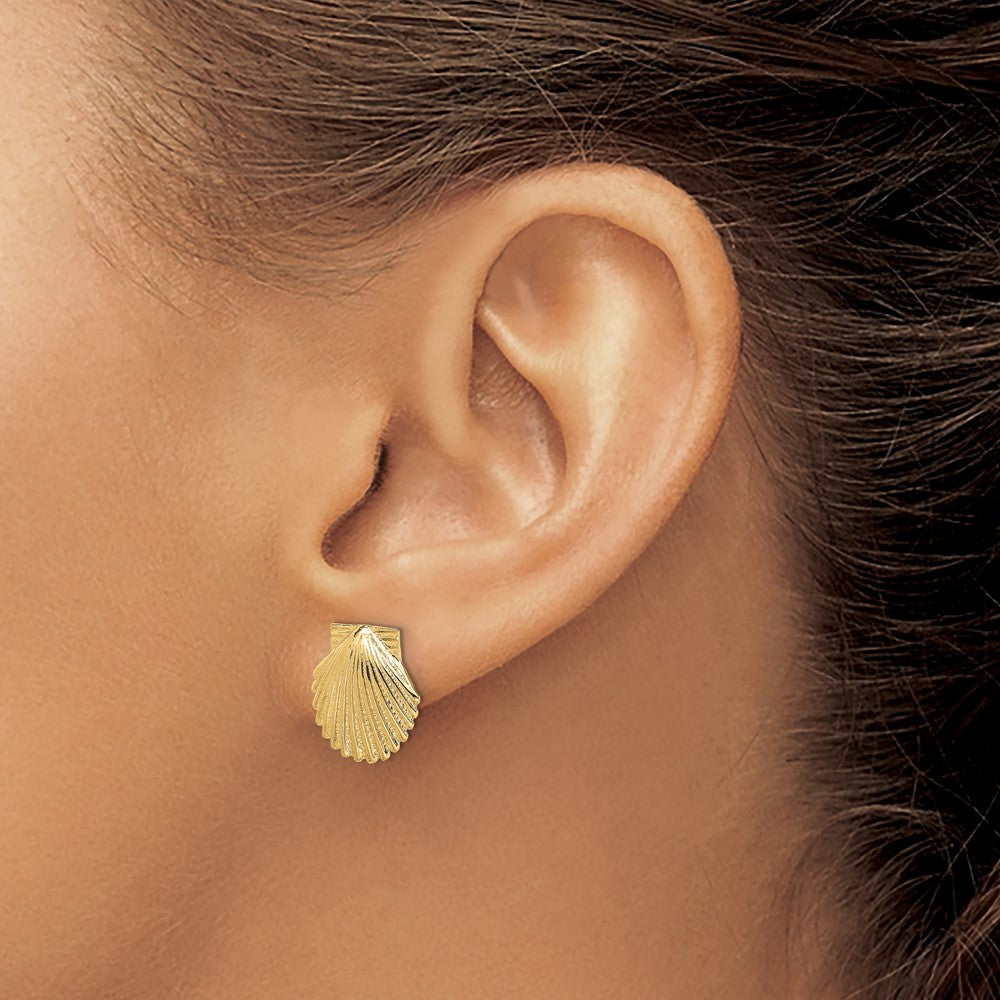 14K Yellow Gold 2-D Polished Scallop Shell Post Earrings