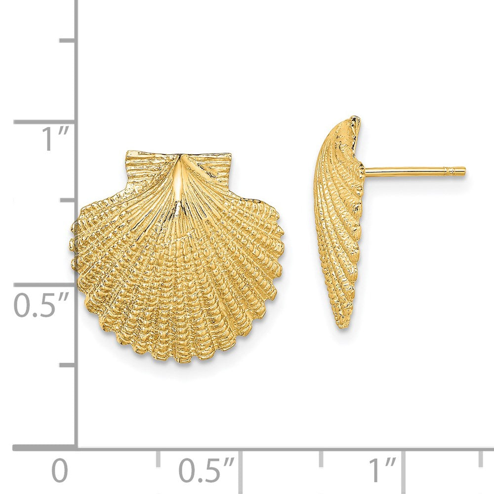 14K Yellow Gold 2-D Textured Scallop Shell Post Earrings